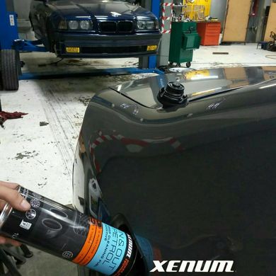 Ультимативний очищувач бензинової паливної системи Xenum In & Out Petrol 1л (3376001) 3376001 фото